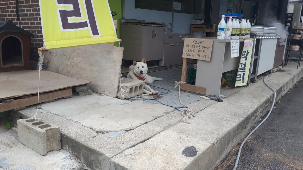 수목원주유소 이미지