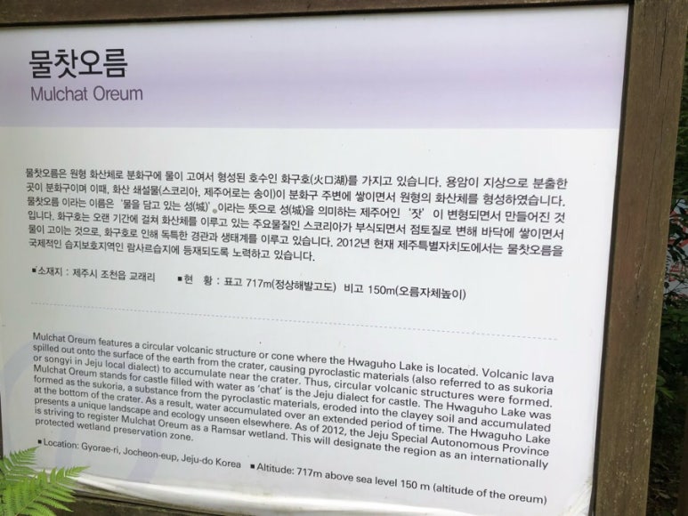 힐링오름 이미지