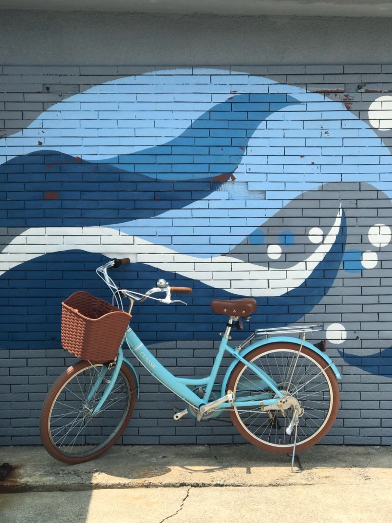 제주위딤 이미지