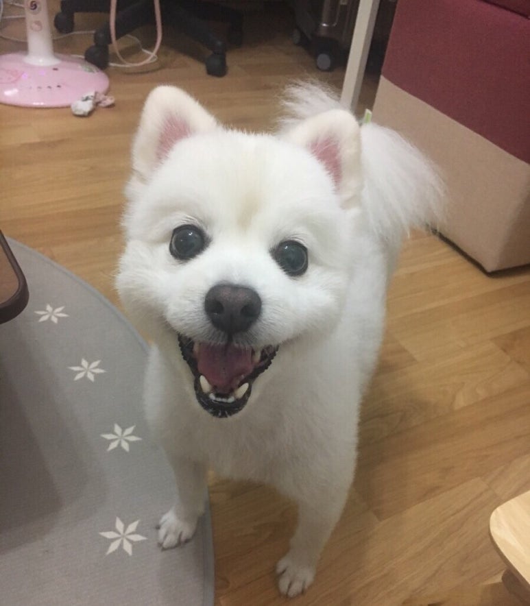 가마솥영천통닭 이미지