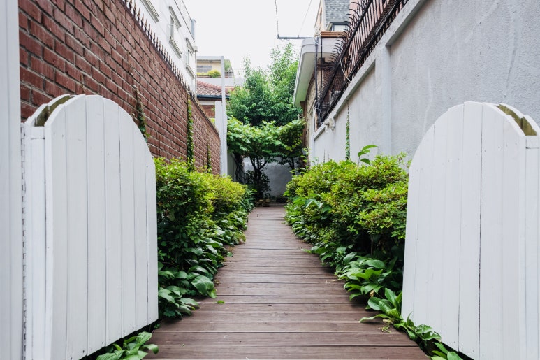 앨리스(Alleys) 이미지