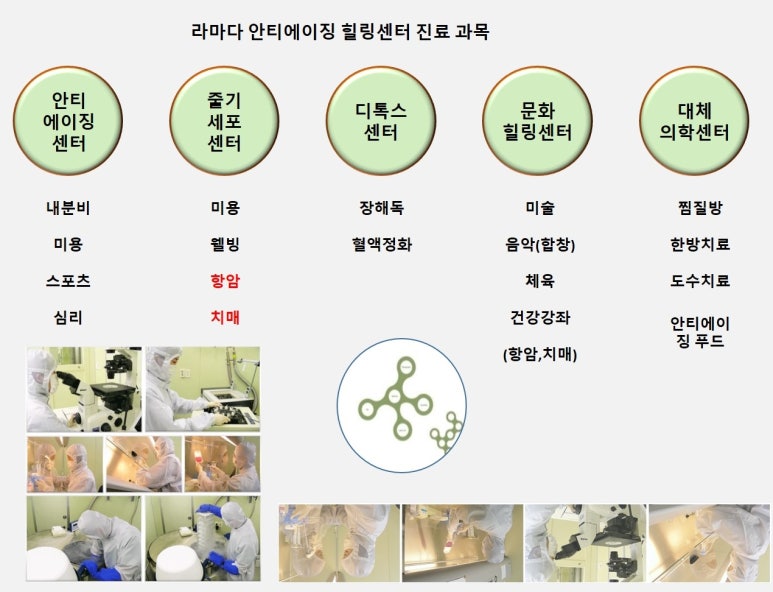 (주)바이오셀 이미지