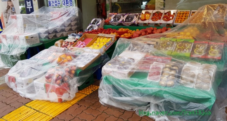 느리울청과 이미지
