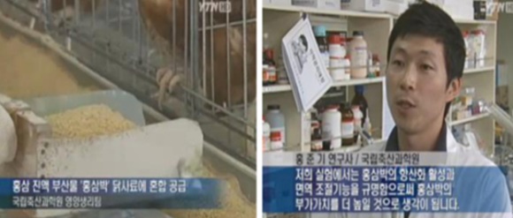 금산홍삼 이미지