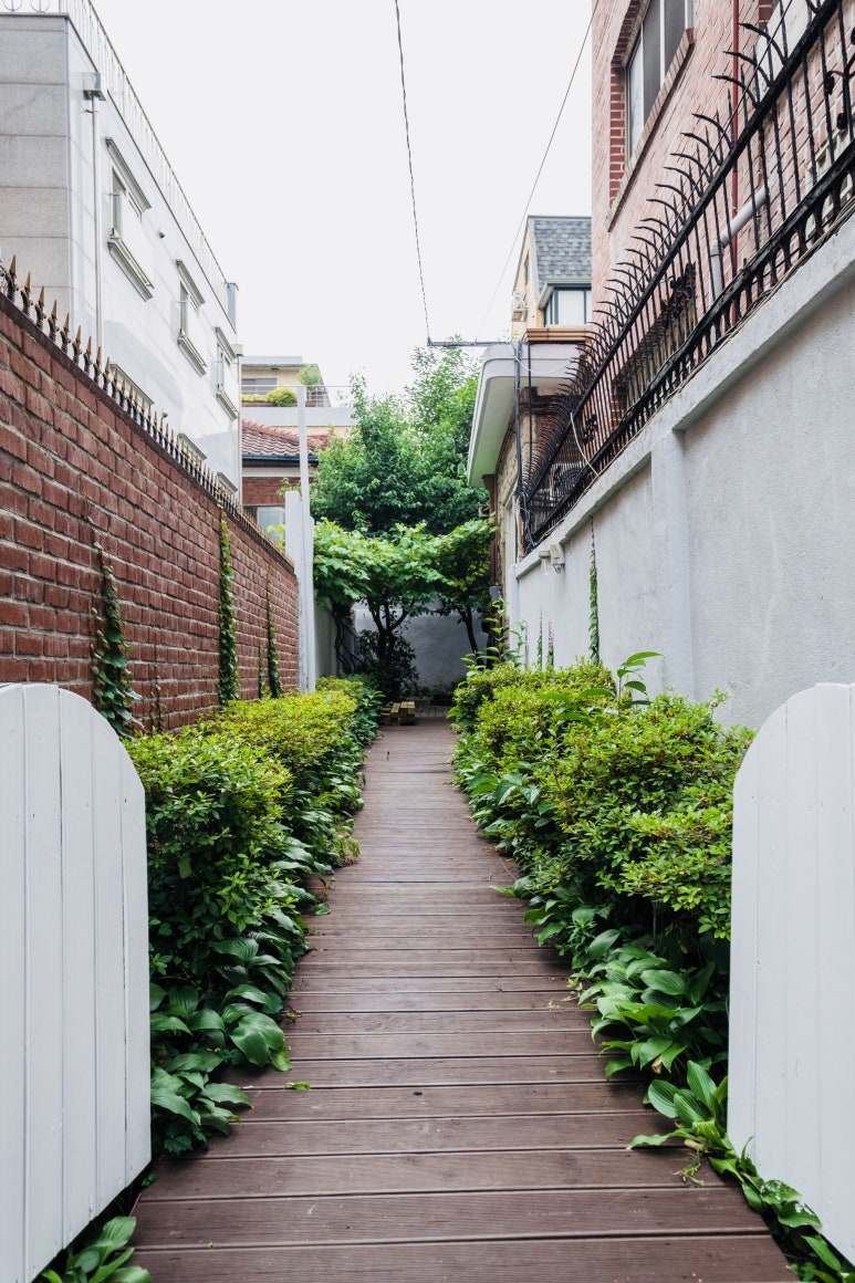 앨리스(Alleys) 이미지
