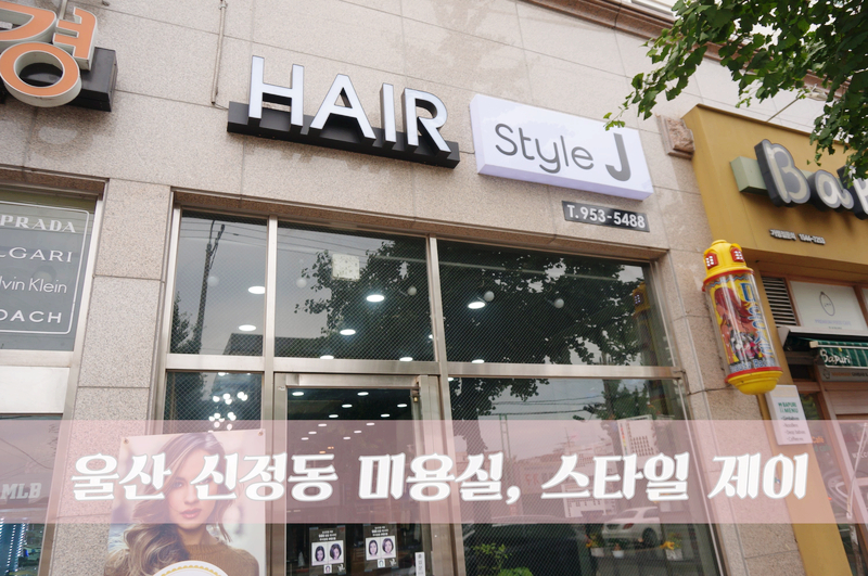 스타일 제이(style j) 헤어 이미지
