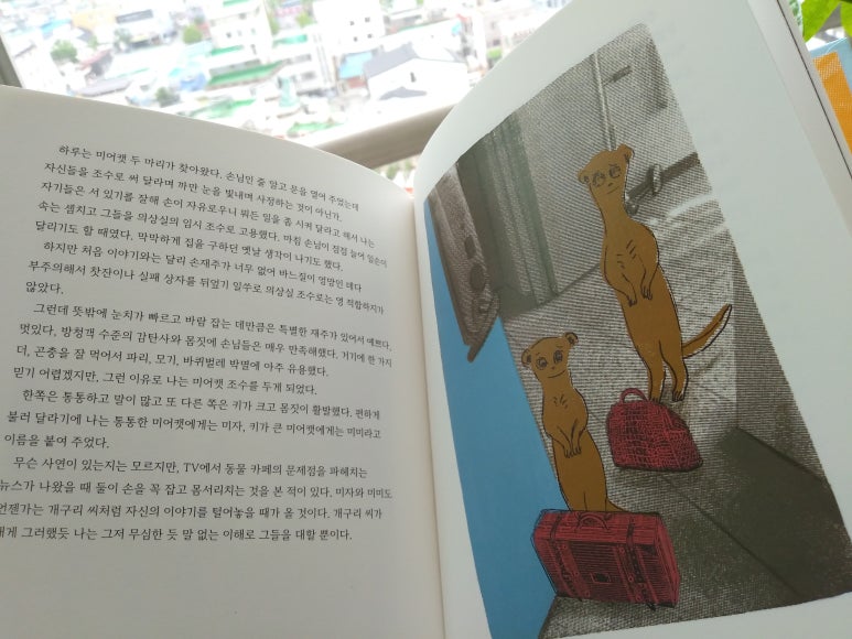 진의상실 이미지