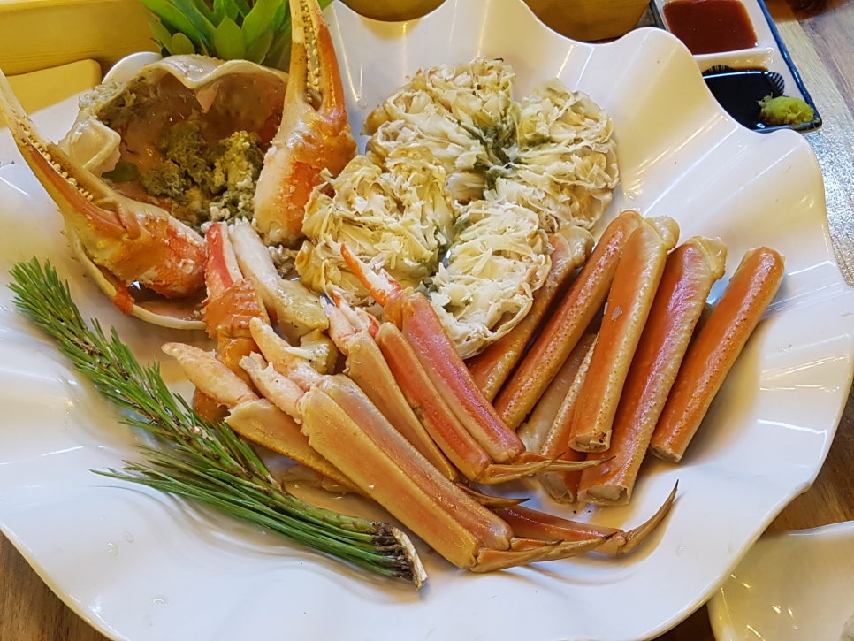 바다 바라기 이미지