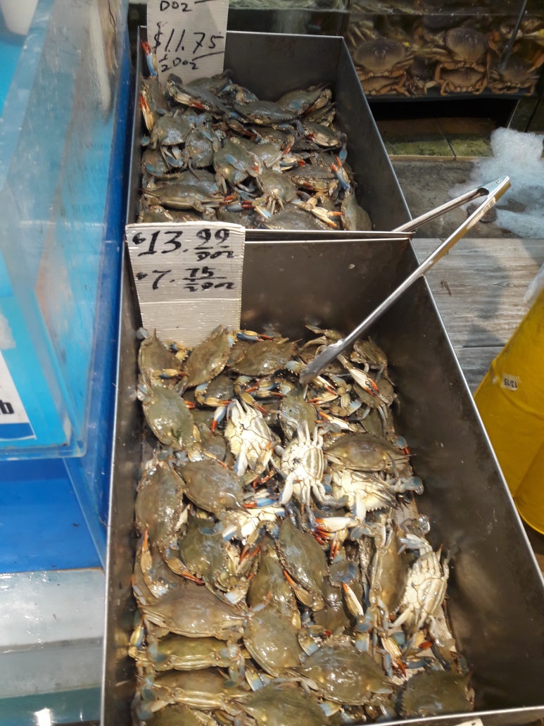 서해안마트 이미지