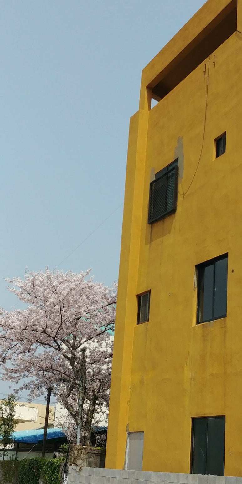 자존심전문음식점 이미지
