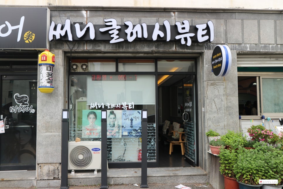 써니클레시 이미지