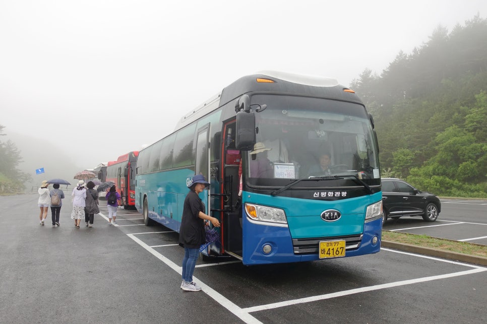 콧바람여행사 이미지