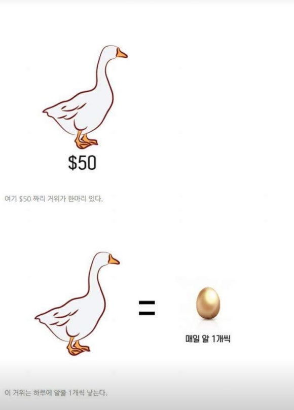 애드프로 이미지