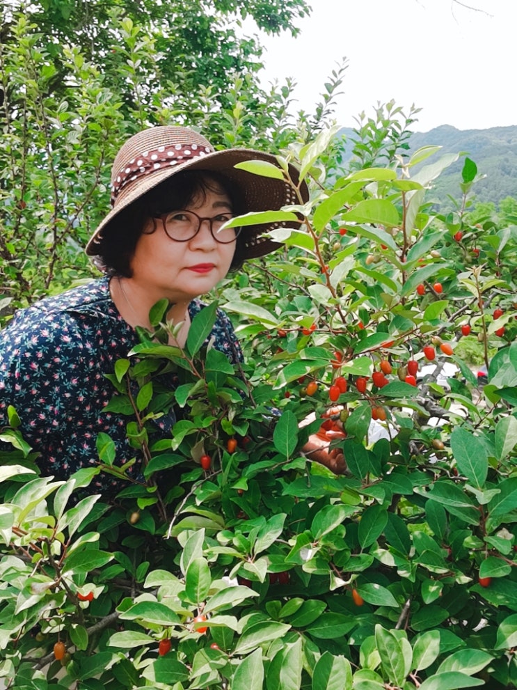 초원대중 이미지