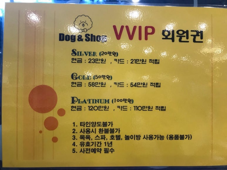 데이앤샵 이미지