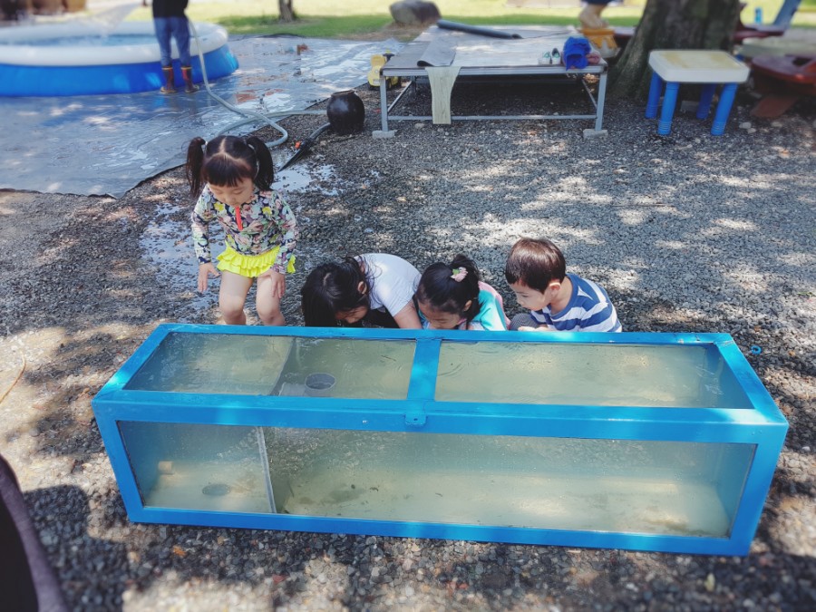 코끼리 관광농원 이미지