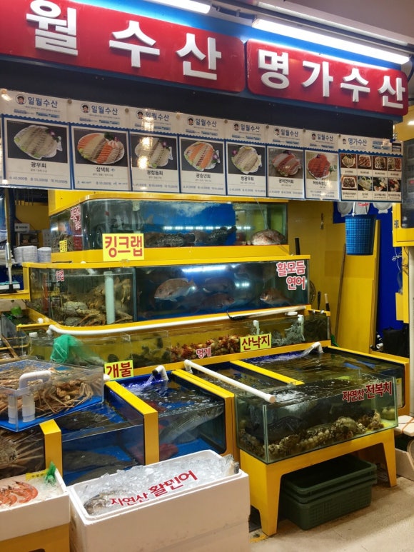 정동수산 이미지