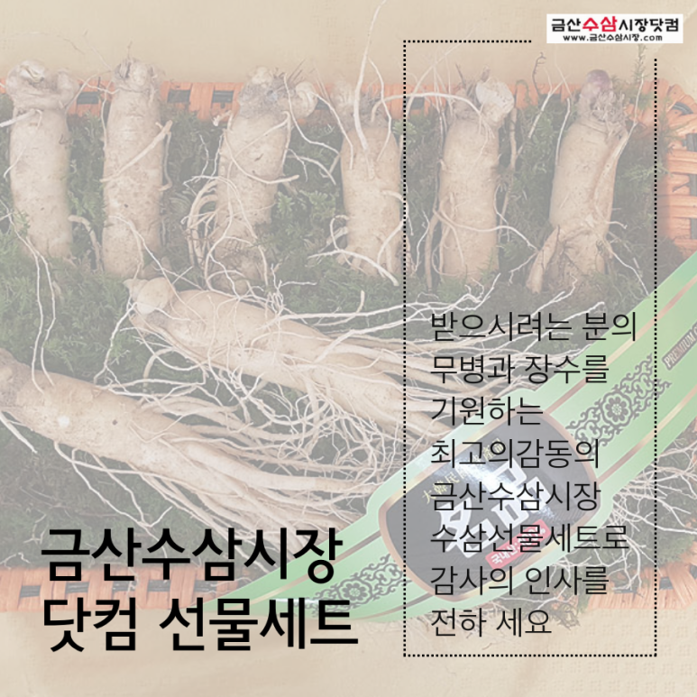 금산수삼시장닷컴 이미지