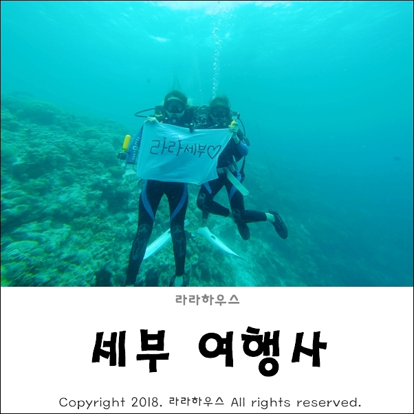 라라여행사 이미지
