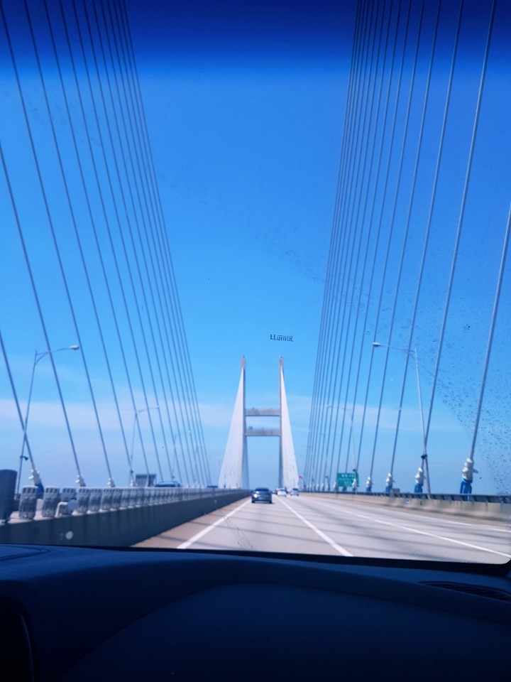 코모리치보령센터 이미지