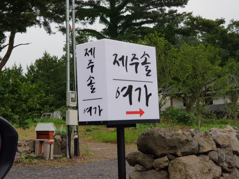 제주솔 이미지