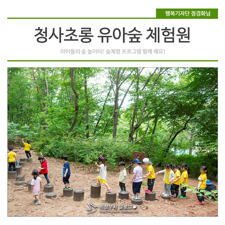 오목문화 유아숲체험원 이미지