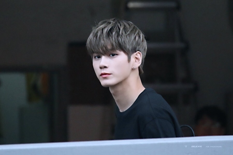 애쉬그레이 이미지