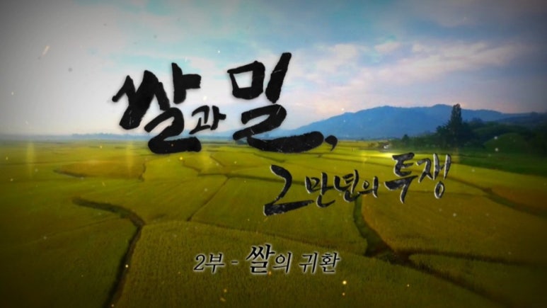 쌀과밀 이미지