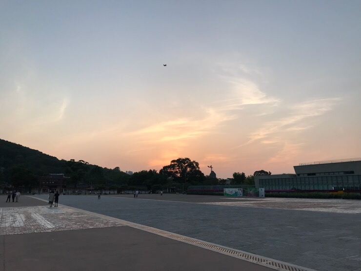 낭만셰프 이미지