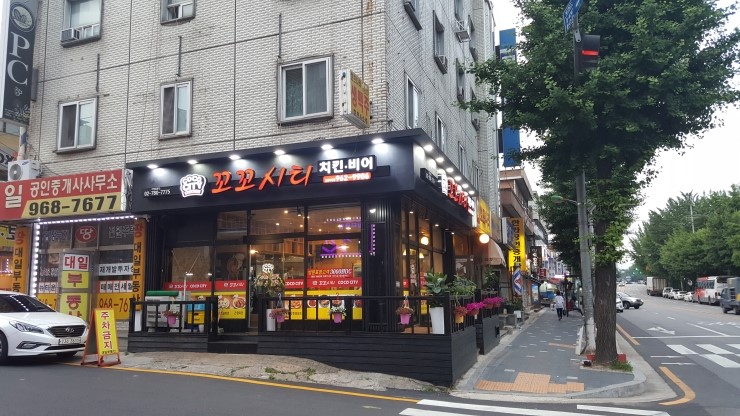 꼬꼬시티고양 이미지