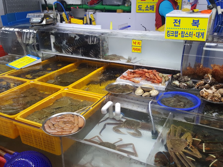 보성상회 이미지