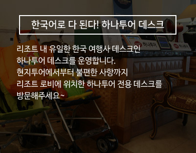 홀리랜드투어 이미지