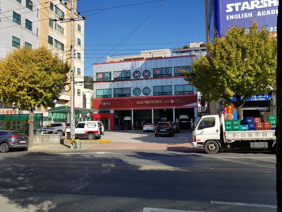 사림점기아오토큐 이미지