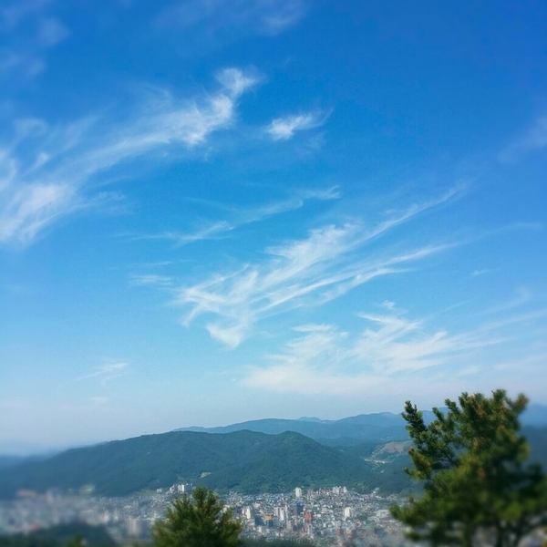 율촌매점 이미지