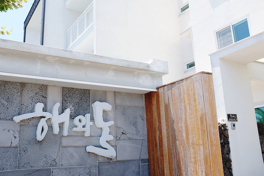 국수바라기 이미지
