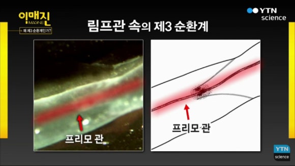 이매진사이언스 이미지