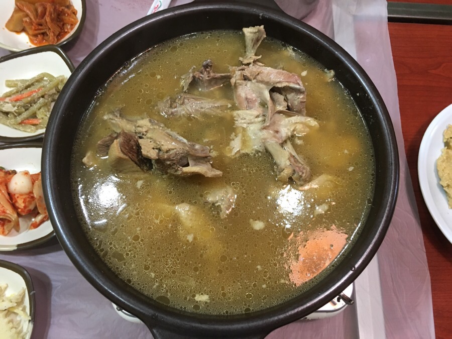 산호황칠나무농원 이미지