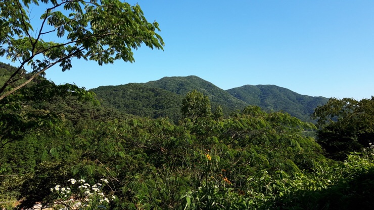 축령산휴림 이미지