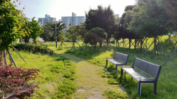 삼천포중앙여자중학교 이미지
