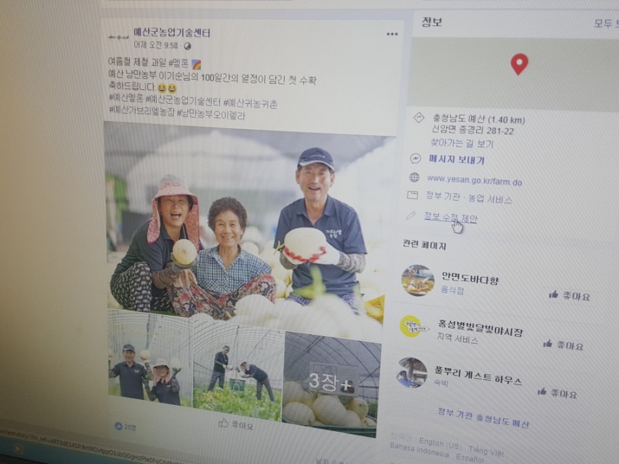 팜바이향 이미지