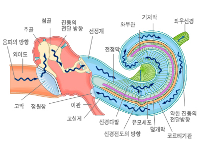 메디칼사운드 이미지