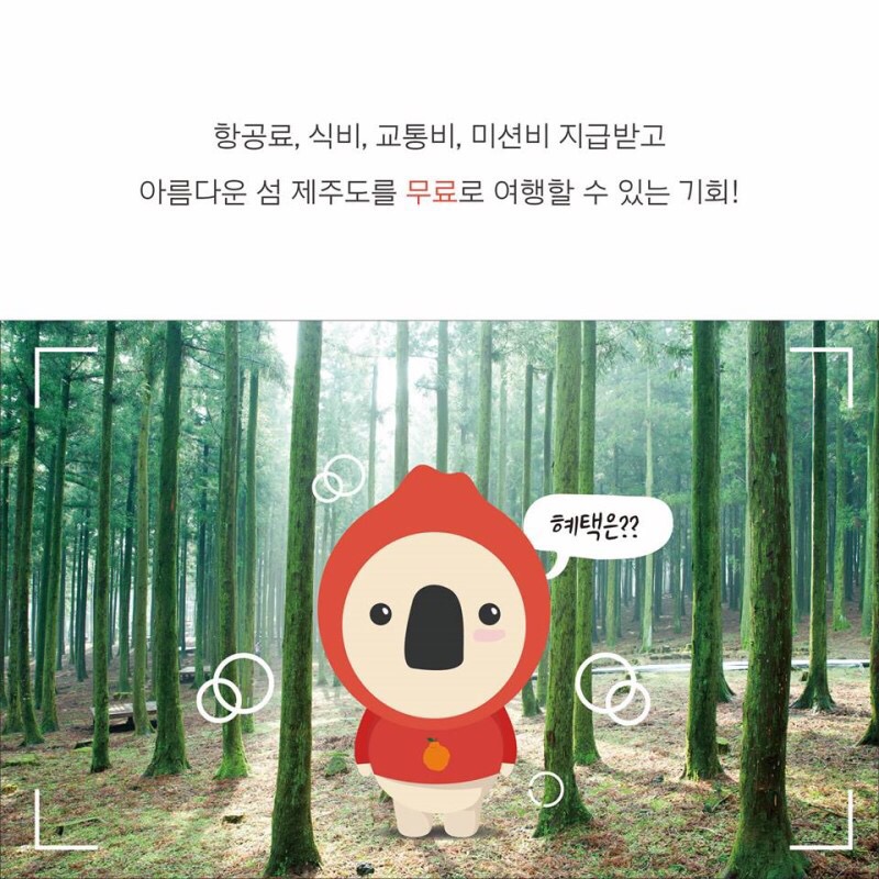 오즈렌터카 이미지