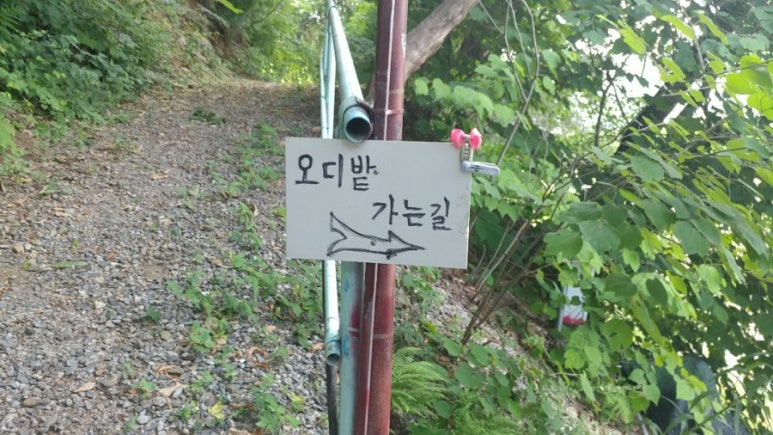 푸른숲농원 이미지