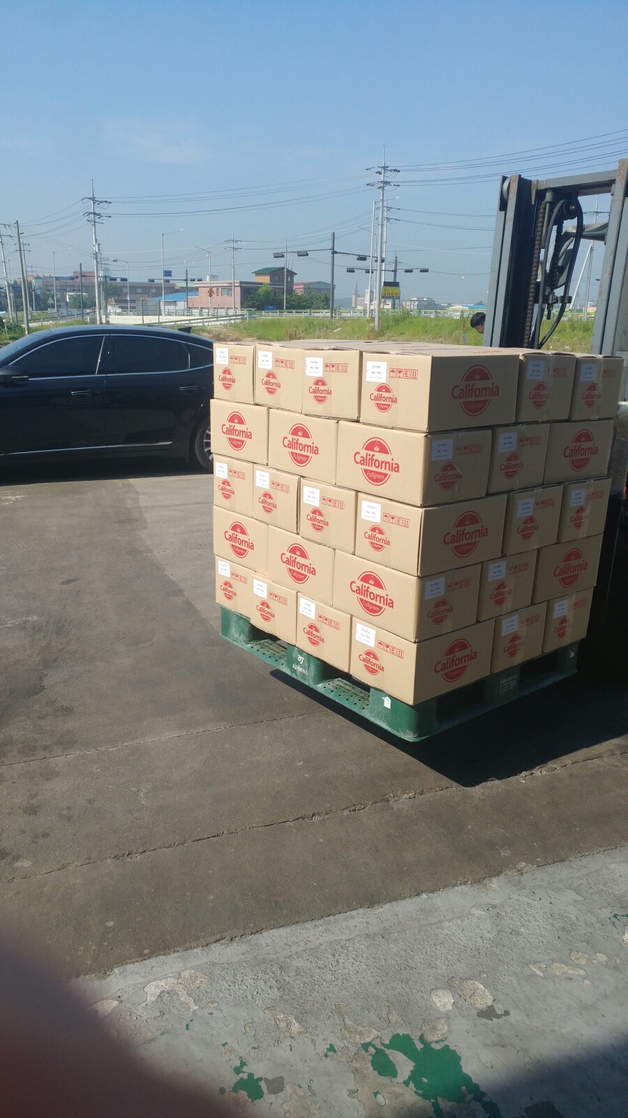 (주)캐니스 이미지