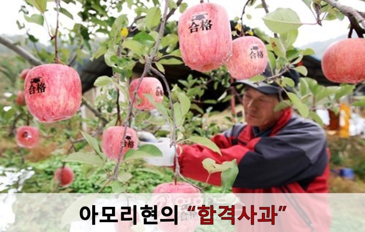 이가원 이미지