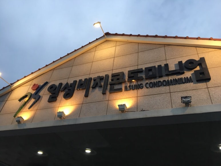 일성카 이미지