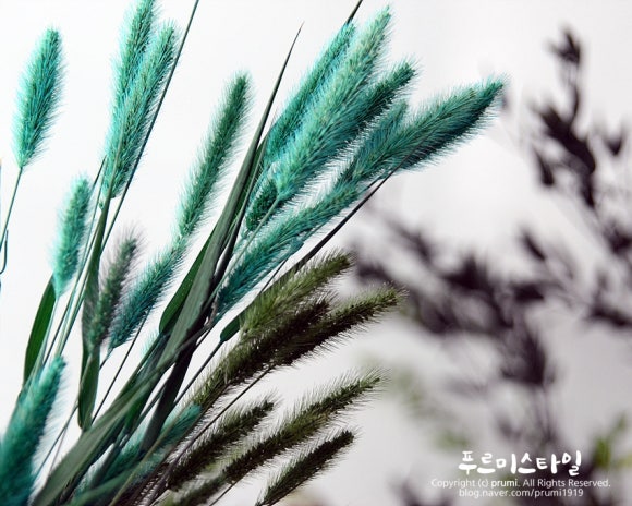 푸르미플라워 이미지