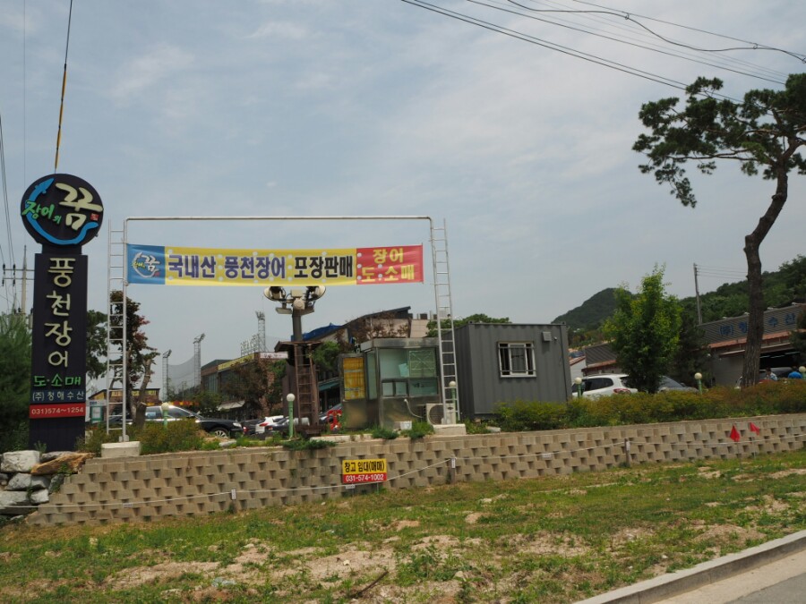 청해수산장어의꿈 이미지