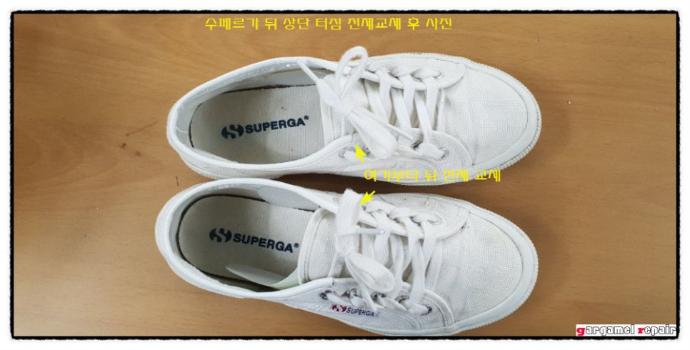 두리수선 이미지