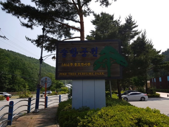 솔향공원 스카이바이크 시설 이미지